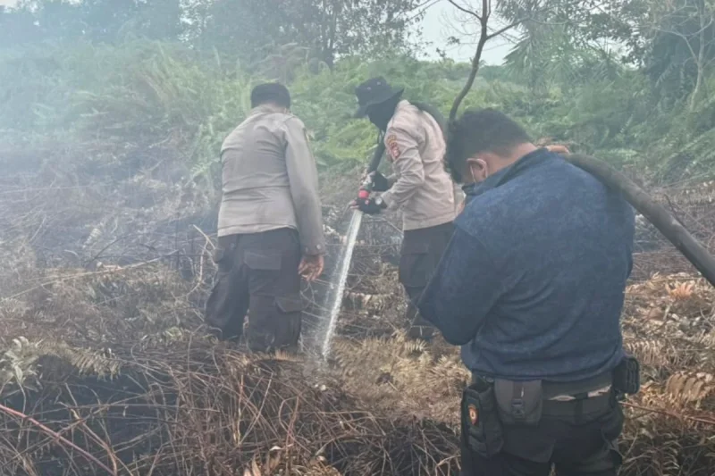 Karhutla 80 Hektar di Bengkalis Riau Berhasil Dipadamkan, Ini Tantangannya