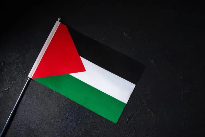 5 Fakta Terkait Deportasi WN Palestina Abdul Karim ke Siprus