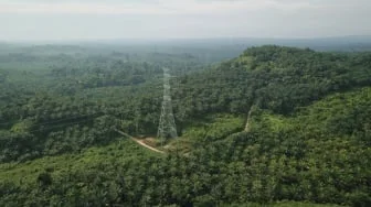 Kebun Sawit PTPN Dijarah, Negara Rugi Rp62,6 Miliar