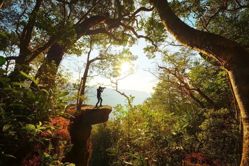 Cara ke Khao Yai National Park dari Bangkok dengan Mudah