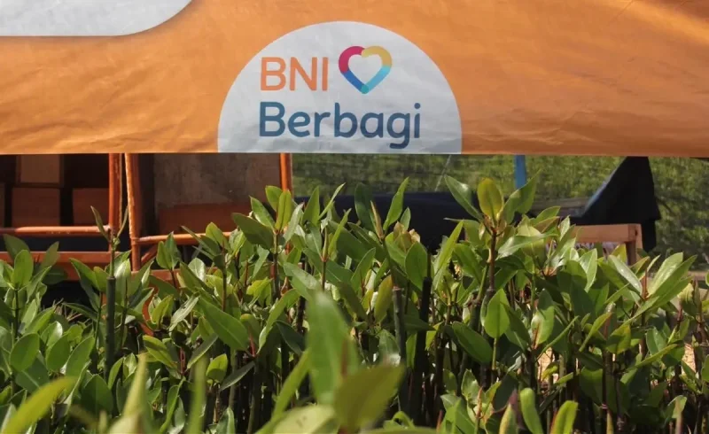 Hari Mangrove, BNI Tanam 258 Ribu Bibit dan Dorong Ekonomi Pesisir