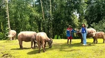 Mantri BRI Buka Akses Perbankan hingga Pegunungan Toraja