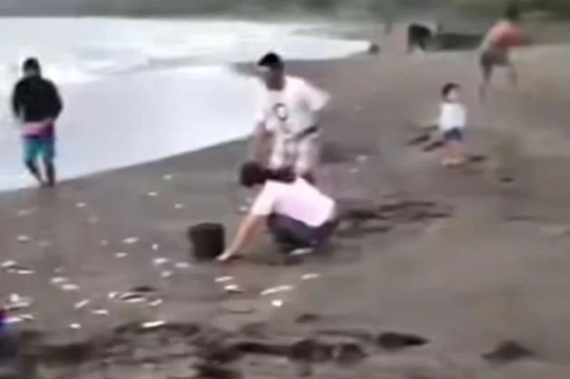 Ribuan Ikan Naik ke Daratan Pantai Sikka, Ini Penjelasan Akademisi