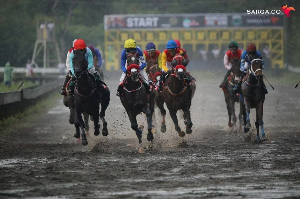King Argentine beraksi di Sarga IHR Triple Crown Serie 2 2025. (Dok. Sarga)