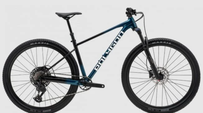 MTB hardtrail Polygon Xtrada 7. [Polygon]