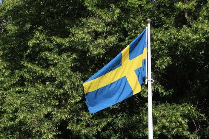 ilustrasi bendera Swedia (unsplash.com/Christer Lässman)