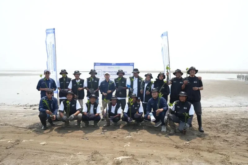 BRI Peduli Tanam 24 Ribu Mangrove untuk Cegah Abrasi dan Serap Karbon