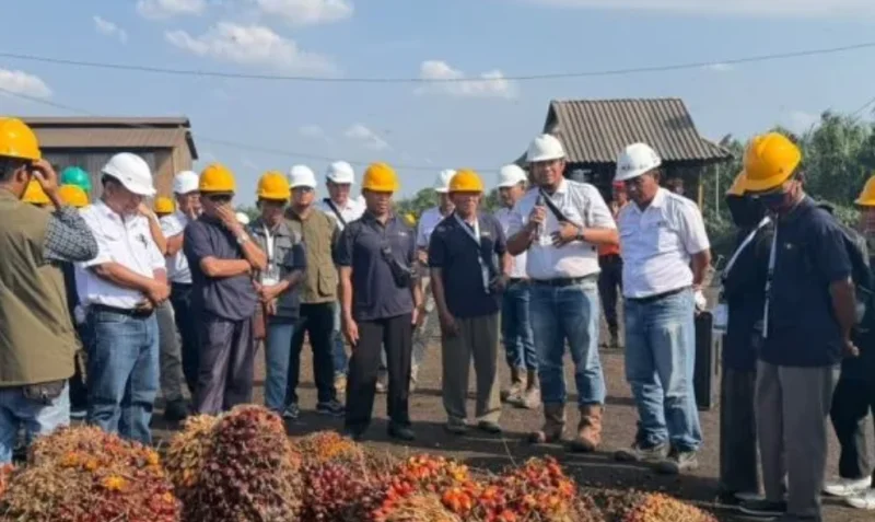RPN dan BPDP Perkuat Kolaborasi Tingkatkan Kualitas TBS Sawit Petani melalui Pelatihan SDM