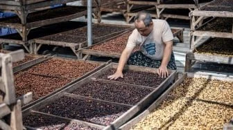 Permintaan Meledak, China Borong 8 Kontainer Kopi Premium Indonesia
