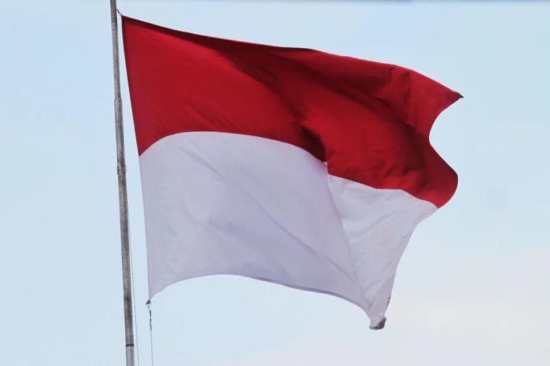 Menakar Ulang Tarif Lepas Status WNI: Antara Pertahankan SDM dan Efektivitas Kebijakan