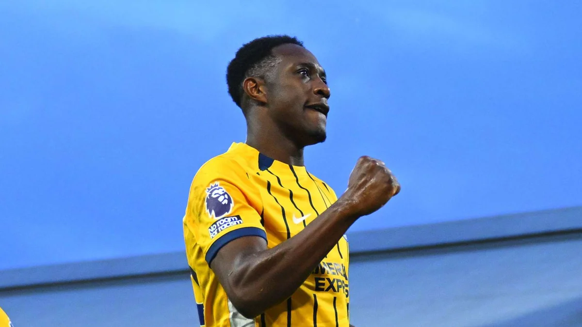 Fulham v Brighton & Hove Albion - Premier League