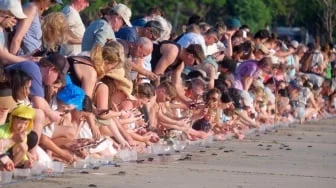 500 Tukik Penyu Kembali ke Laut, Wisata Konservasi Bali Makin Diminati