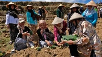 Pengusaha Tembakau Tolak Aturan Turunan PP 28/2024, Dinilai Ancam Industri dan Penerimaan Negara