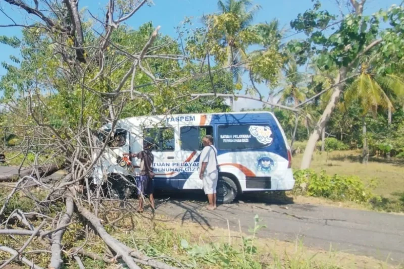 Pohon Tumbang Timpa Mobil SPPG dan Motor di Sikka, Korban Dilarikan ke RS