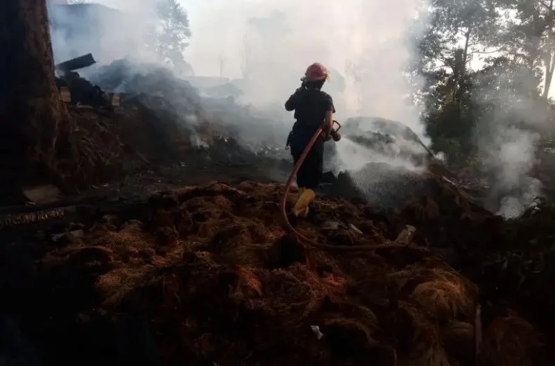 Pemkab Sukabumi Tetapkan Status Siaga Darurat Kekeringan-Kebakaran!