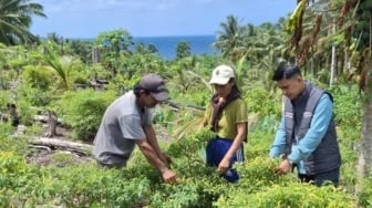 Dedikasi Mantri BRI di Kepulauan Talaud Perkuat Pemberdayaan UMKM