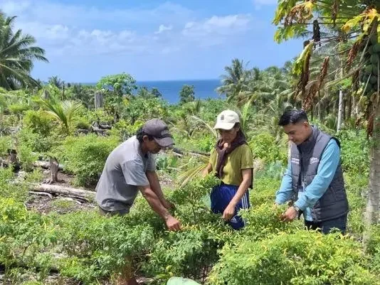Menembus Medan Sulit, Mantri BRI Dampingi UMKM di Kepulauan Talaud
