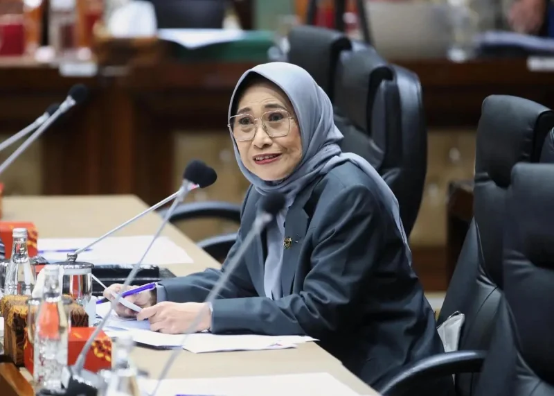 Ada Putusan MK, DPR Minta Pemerintah Cari Alternatif Baru Anggaran MBG