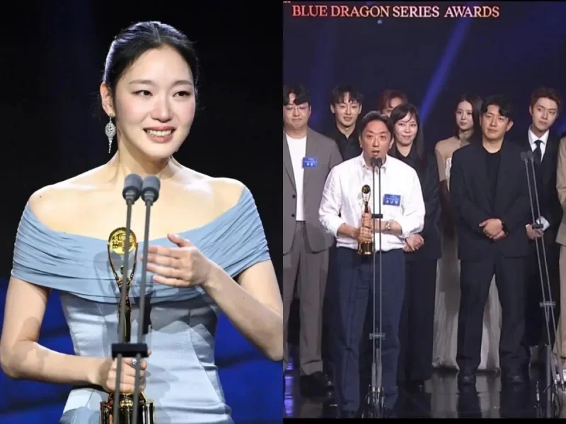 Daftar Pemenang Blue Dragon Series Awards 2026, Kim Go Eun Raih Daesang