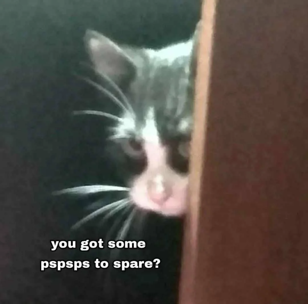 meme memanggil kucing