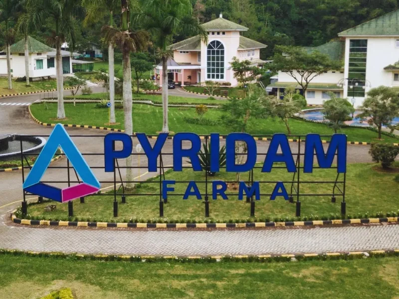Pyridam Farma Kantongi Pendapatan Rp1,62 Triliun pada Semester I-2026