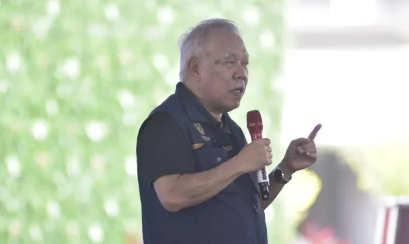 IKN Disiapkan Menjadi Percontohan Rehabilitasi Mangrove melalui Program M4CR