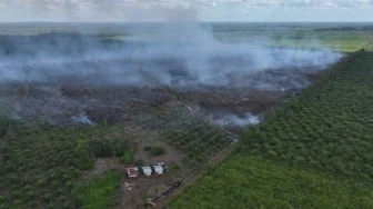Pria di Bengkalis Tersangka Perambahan Hutan 20 Ha, Sebagian untuk Tanam Sawit
