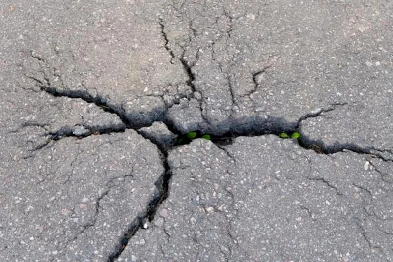 Gempa M4,7 Guncang Nagekeo NTT, BMKG: Dipicu Aktivitas Sesar Aktif