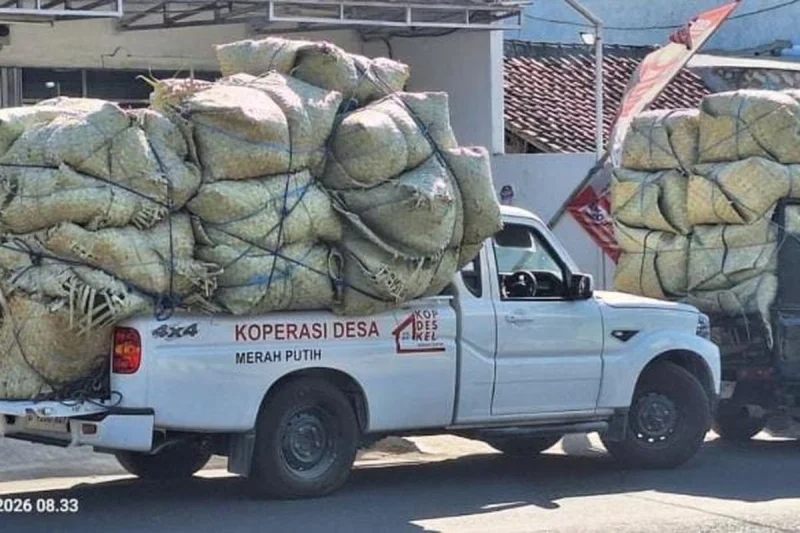 Heboh Video Mobil KDMP Angkut Tembakau di Madura, Asal Kendaraan Masih Dicari