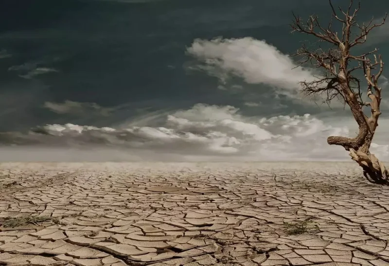 Waspada Cuaca Ekstrem, Apa Bedanya El Nino dan La Nina?
