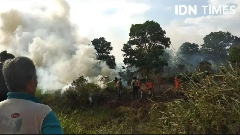 Kemenhut: Kalbar Masih Jadi Provinsi dengan Karhutla Terluas di 2026