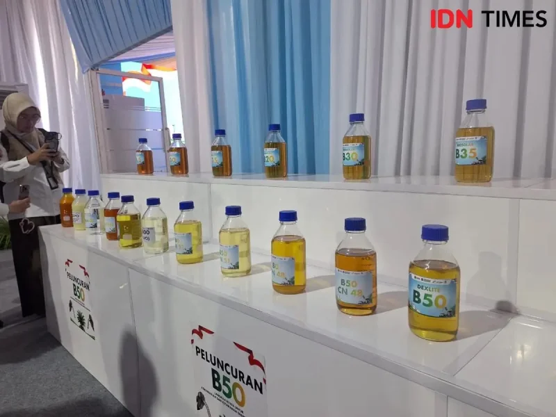 BPS: Mandatori B50 Berpotensi Tekan Volume Ekspor CPO pada Semester II