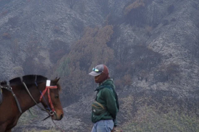 Hutan Gunung Bromo Terbakar, 3 Jalur Wisata Ditutup