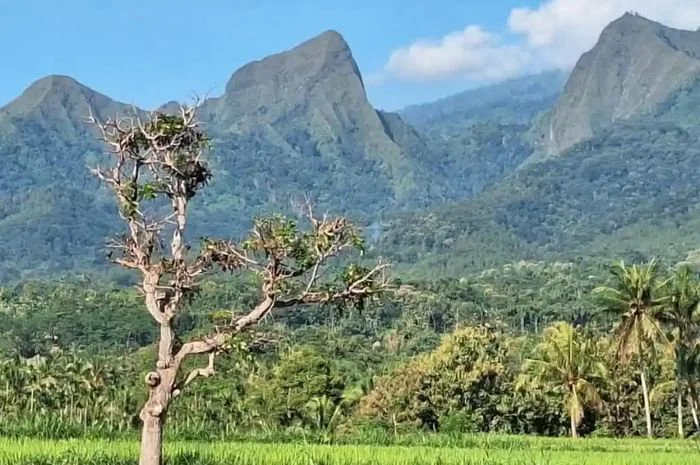 Kronologi Dua Pendaki Hilang di Gunung Piramid, Bondowoso, Sempat Titipkan Motor Sebelum Naik namun Tak Kunjung Diambil
