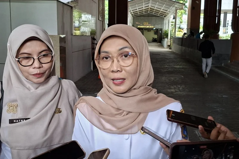Dinkes DKI: AI Bukan Pengganti Psikolog dan Psikater untuk Curhat