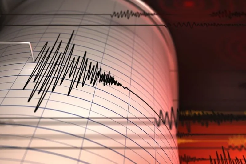Gempa M 5,6 Guncang Halmahera Barat, Getaran Terasa hingga Manado, BMKG Pastikan Tak Berpotensi Tsunami