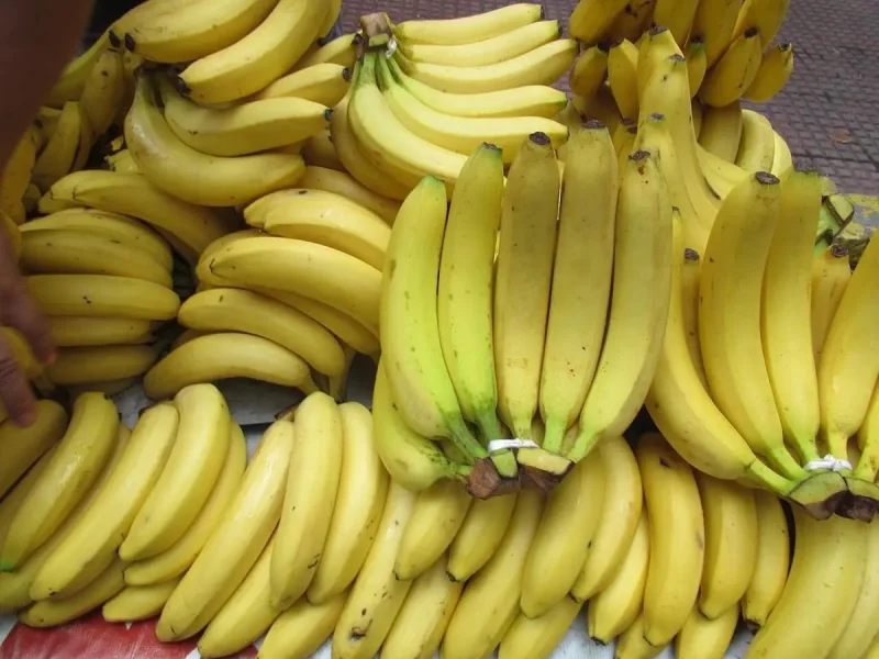 Apakah Makan Pisang sebelum Olahraga Membantu Membakar Lemak?