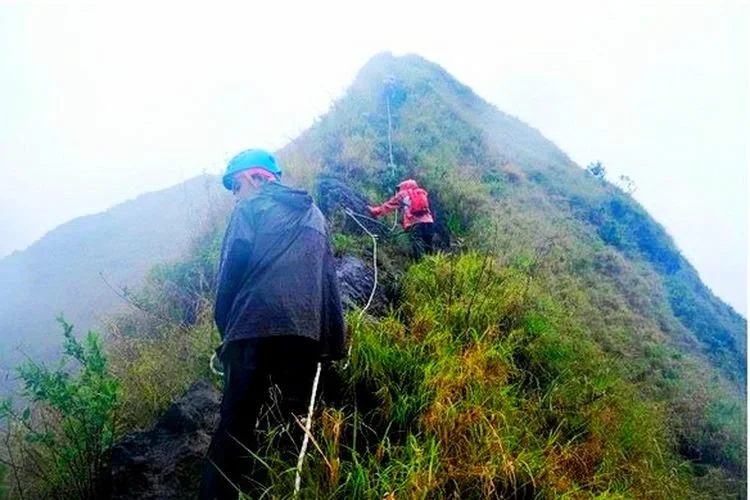 Jalur pendakian Gunung Piramid yang dilalui oleh Tim Survei dan Pemetaan Gunung Piramid di Gunung Piramid, Bondowoso, Jawa Timur, Senin (30/11/2020).