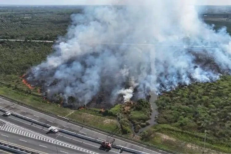 Kebakaran lahan dekat ruas Tol Palembang-Indralaya (Palindra) terjadi pada Sabtu (1/8/2026) petang di Ogan Ilir, Sumatera Selatan, terbakar.&nbsp;
