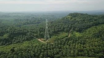 Kebun Sawit PTPN Dijarah, Negara Rugi Rp62,6 Miliar