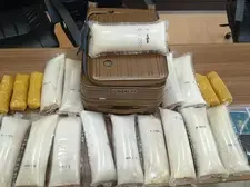 DPR: Jual Beli Benur di Pasar Gelap Rugikan Negara Triliunan Rupiah