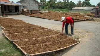 Pemerintah Diminta Perhatikan Dampak Ekonomi dalam Pembuatan Aturan soal Industri Rokok