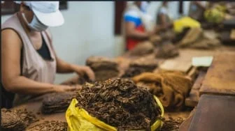 Perempuan Jadi Korban Jika Industri Tembakau Tertekan