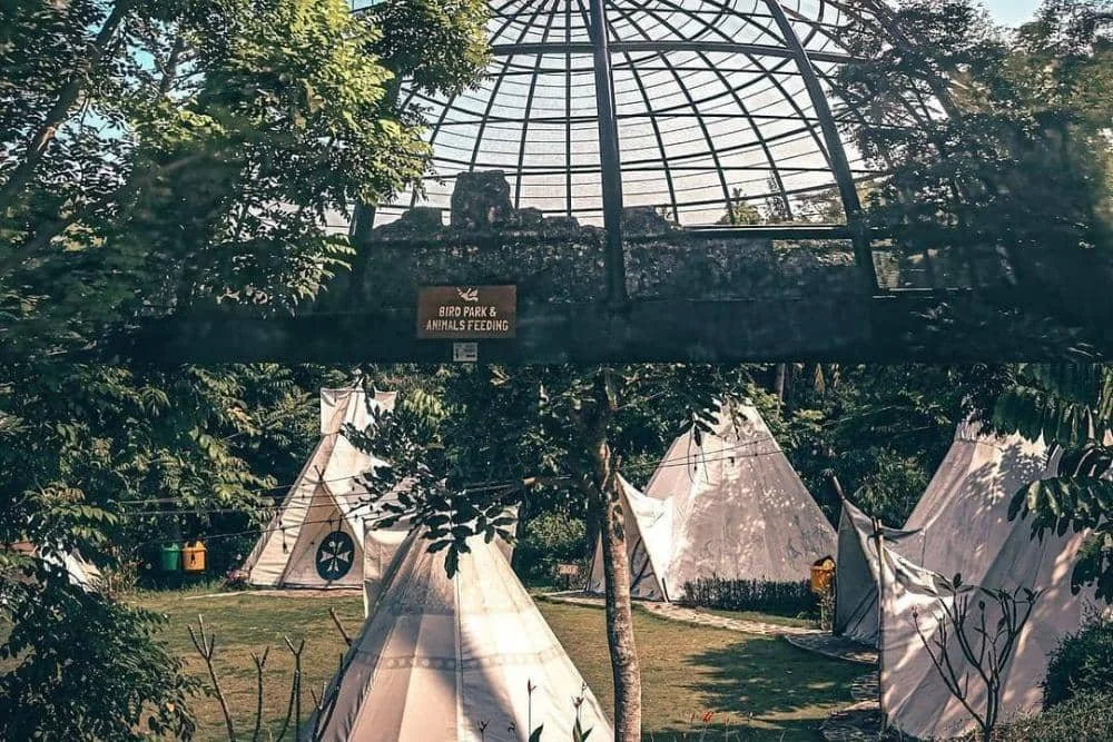 instagram.com/sparksforestadventure