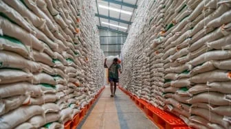 Harga Beras Naik saat Cadangan Pemerintah Cetak Rekor Terbesar, Kok Bisa?