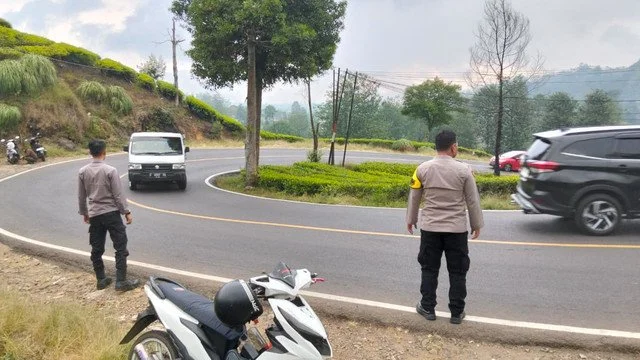 Ada Tukang Parkir Liar di Kebun Teh Rancabali Bandung, Polisi Cari Pelaku