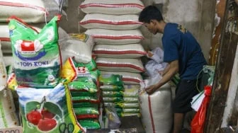Susah Cari Beras? Ini Penyebab Rak Retail Modern Mulai Kosong