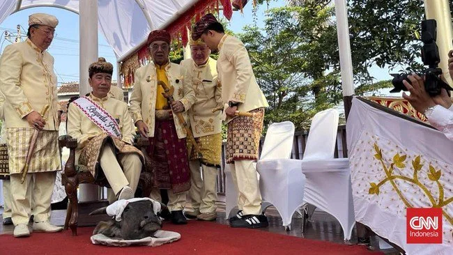 PDIP Respons Ritual Jokowi Injak Kepala Kerbau di Lampung