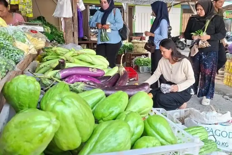 Harga Bahan Pokok Turun Saat MBG Libur: Pedagang Sumringah, Ibu-ibu Belanja Makin Banyak