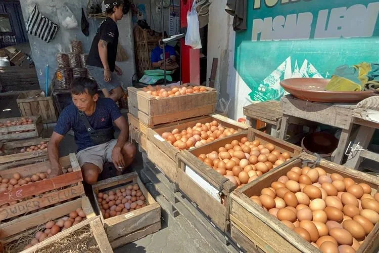 Karyawan distributor telur di Pasar Legi Solo memilah ukuran telur dari kecil hingga besar, Senin (29/6/2026)